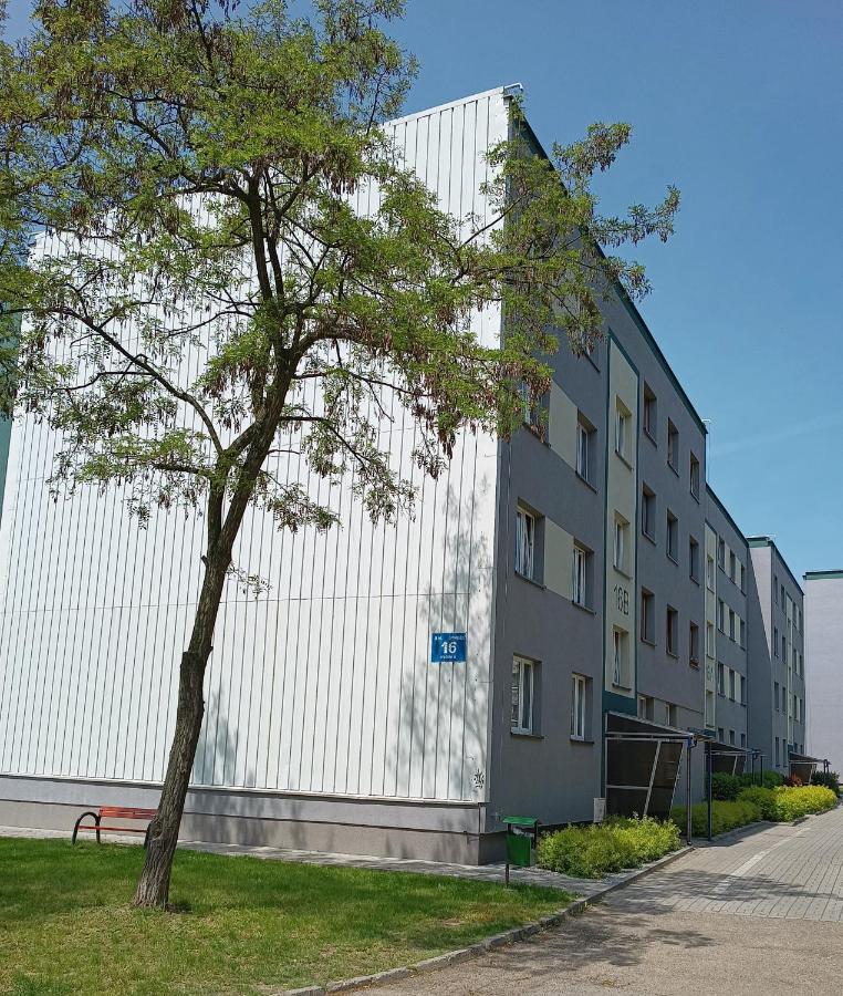 Bursztynowy Apartament Tarnowskie Gory Exterior photo